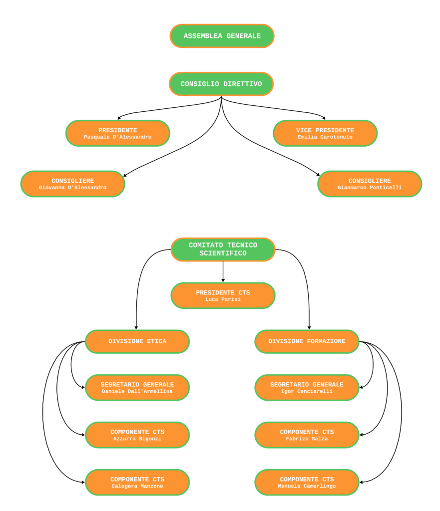 organigramma legge 4